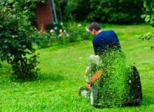 Kwikfynd Lawn Mowing
jalbarragup
