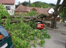 Kwikfynd Tree Cutting Services
jalbarragup